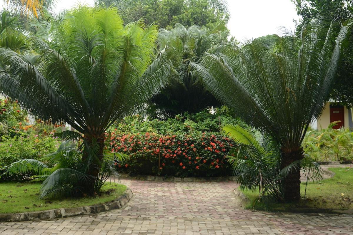 בגמויו Kimere Resort מראה חיצוני תמונה